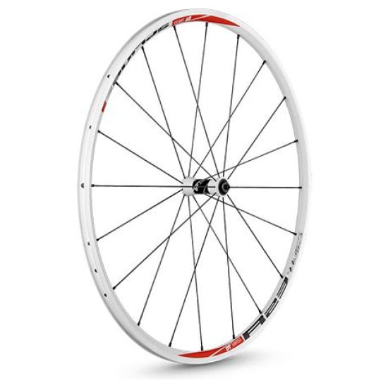 Dt Swiss WIEL V 28 DT R23 SPLINE WIT