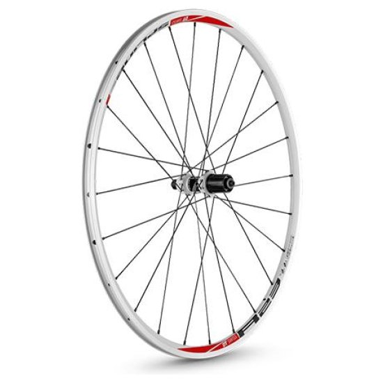 Dt Swiss WIEL A 28 DT R23 SPLINE SH 9/10/11 WIT