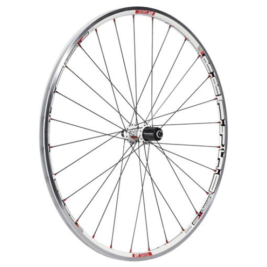 Dt Swiss WIEL A 28 DT RR1450 MC SH 8/9/10 WIT