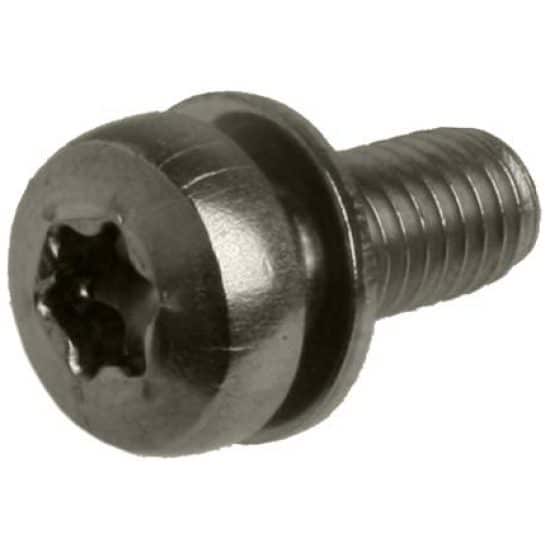 Batavus BAT BOUT M5X12 TORX M/PLAAT RVS Zilver