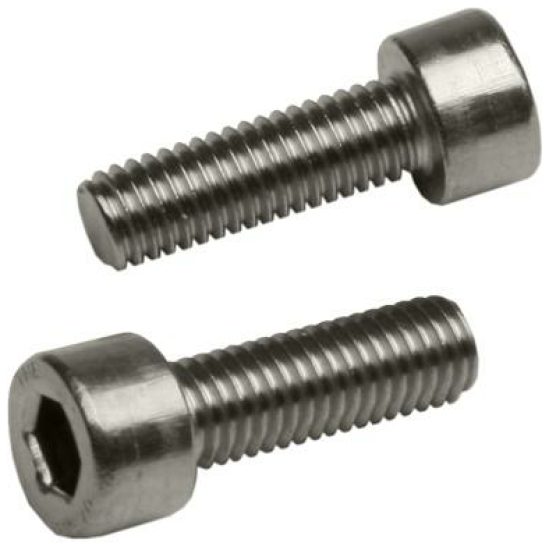 Bach BOUT M5X16 INBUS RVS DS A 25 ZILVER
