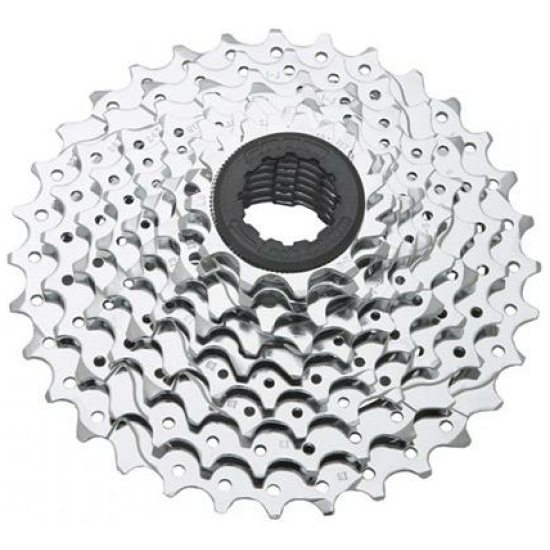 Sram CASSETTE 9V PG950 DS A 10 ZILVER