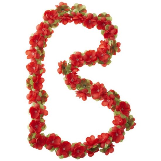 Basil Bloemenstreng Bas flowers 50184 Rood