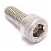 Bofix Bout inbus rvs p/stuk (wp25) Zilver