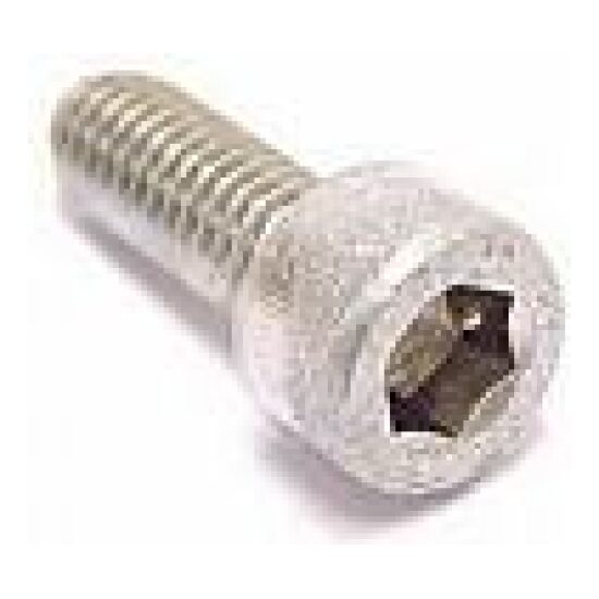 Bofix Bout inbus rvs p/stuk (wp25) Zilver
