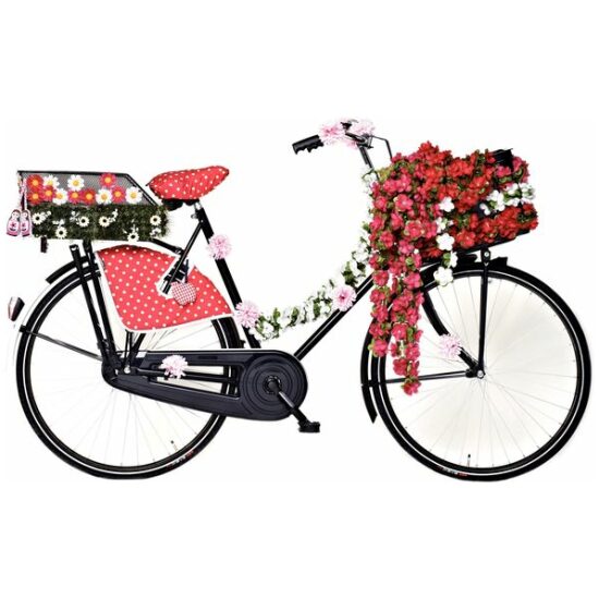 Basil Bloemenstreng Bas flowers 50184 Rood - Afbeelding 3