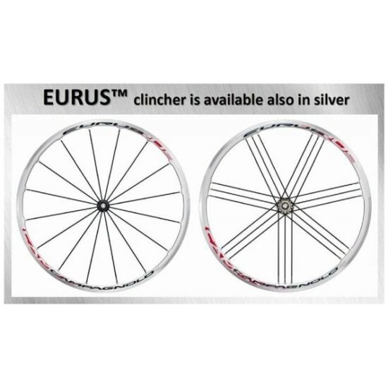 Campagnolo WIELSET 28 CA EURUS 9/10/11V 2010 ZILVER