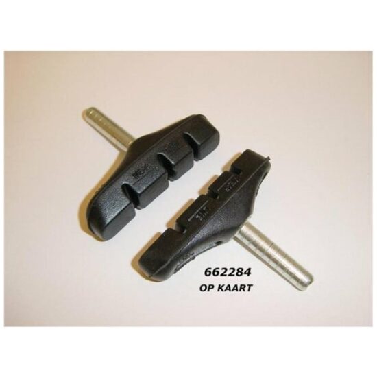 Tektro REMSCHOEN 861.11 CANTI STIFT SET A 2 ZWART