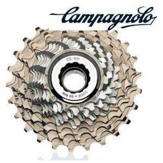 Campagnolo CASSETTE CA 10V RECORD 11-23 ZILVER