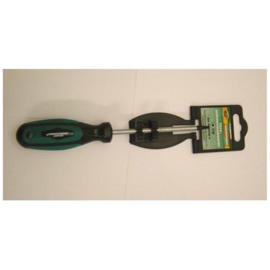 Mannesmann GRS MANN SCHROEVENDRAAIER TORX T15 29140