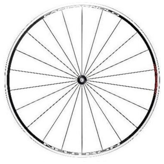 Campagnolo WIEL V 28 CA NEUTRON ZWART