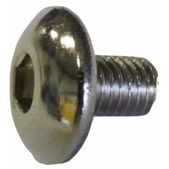 Unknown Kettingkast-bout Gaz M5x8 rvs kop 12.5mm 390425100