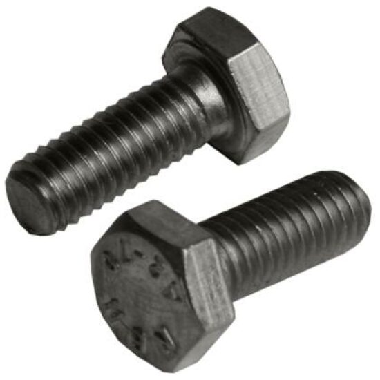 Bout zk m6x16 rvs wp(50)
