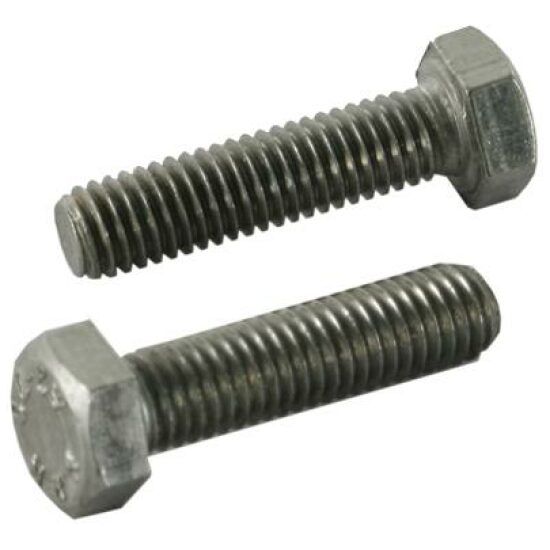Bout zk m5x20 rvs wp(50)