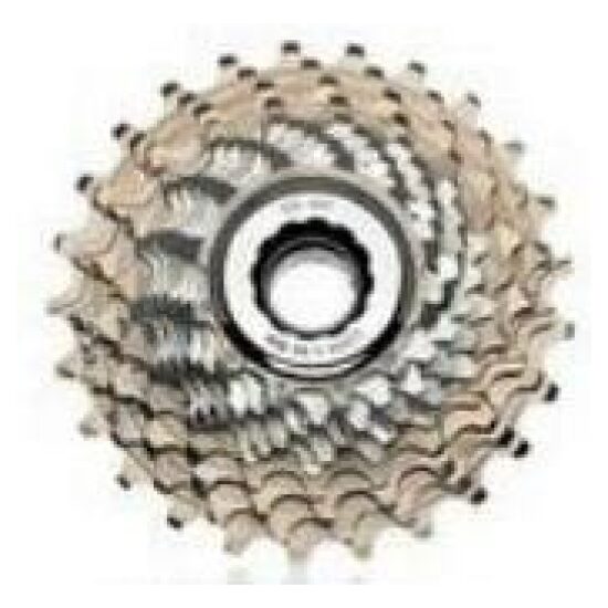 Campagnolo CASSETTE CA 10V RECORD 11-21 ZILVER