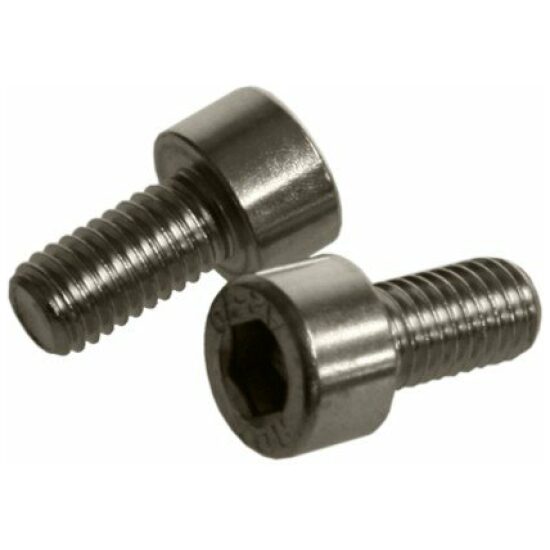 Bofix Bout M5x10mm inbus rvs bidonh (wp25)
