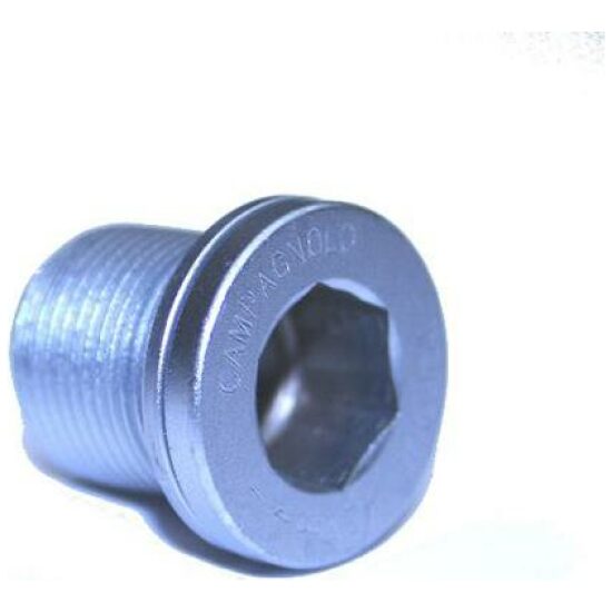 Campagnolo TRAPD MONTAGE BOUT CA ULTRA TORQUE FC-RE007 ZILVER