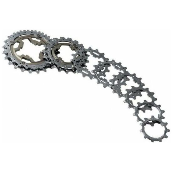 Campagnolo CASSD CA 10V KRANS 21G 10S-217 ZILVER