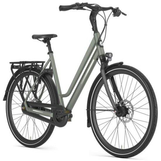 Gazelle Chamonix C8 Li S8 818 Clay Green (matt) Lage instap