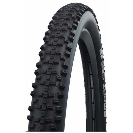 Schwalbe Buitenband 20x1.90 Schw Smart Sam HS624 KGuard z/refl Zwart