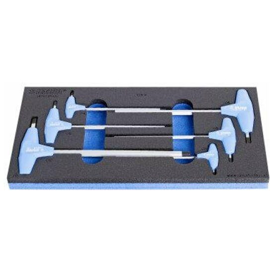 Unior GRS INLAY GW INBUSSET T MODEL 6DLG Zilver/blauw