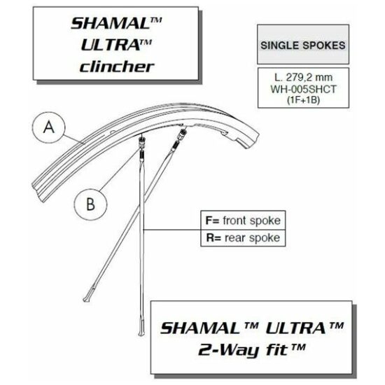 Campagnolo SPAAK CA SHAMAL TIT 2008/09 V WH-005SHCT