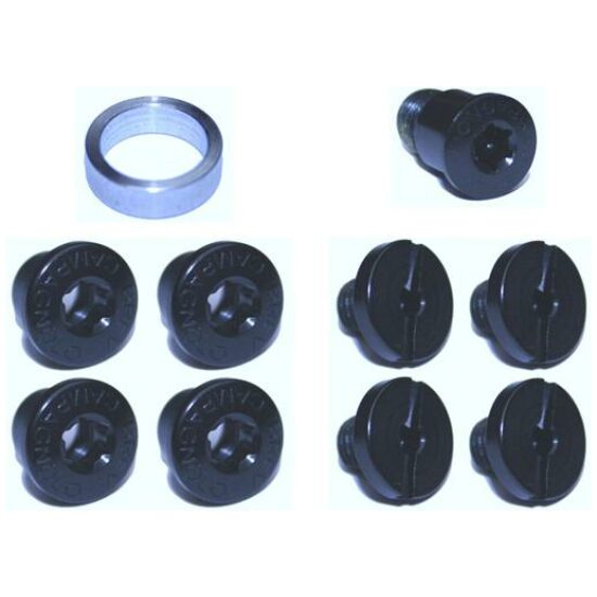 Campagnolo BLAD BOUTSET CA SUPER/REC/CHOR TORX ZWART