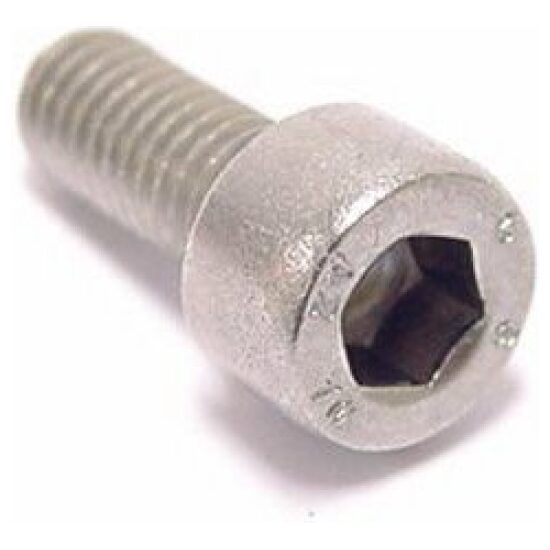 Bofix Bout M5x10mm inbus rvs bidonh (wp25) - Afbeelding 2