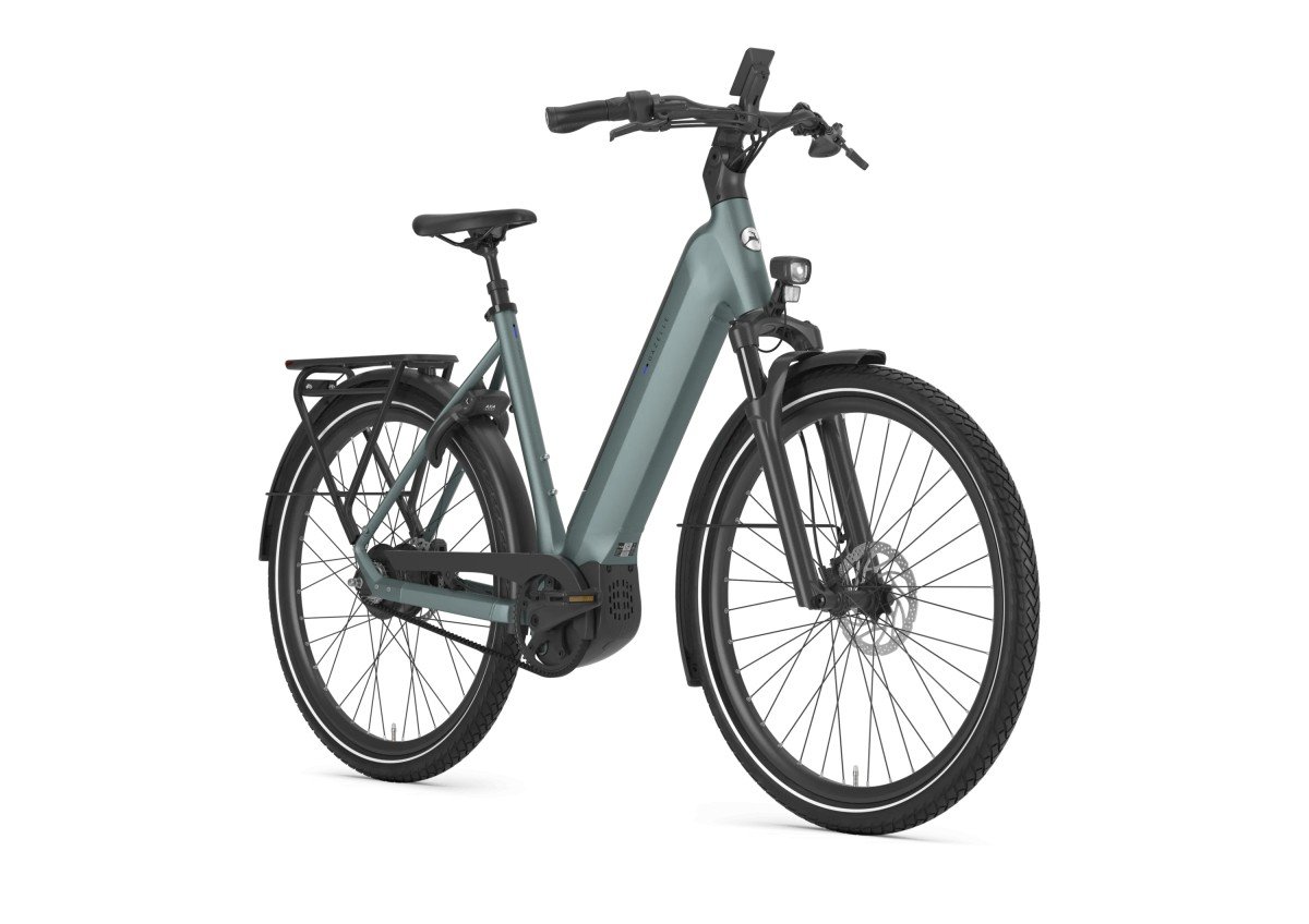 Gazelle Ultimate C380 HMB Belt Li SE Dew Green Mat Lage instap - Afbeelding 3